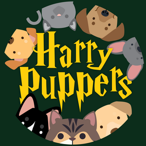 Fundraising Page: Harry Puppers ⚡️